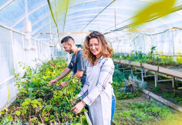 Inhaken op Kom in de kas