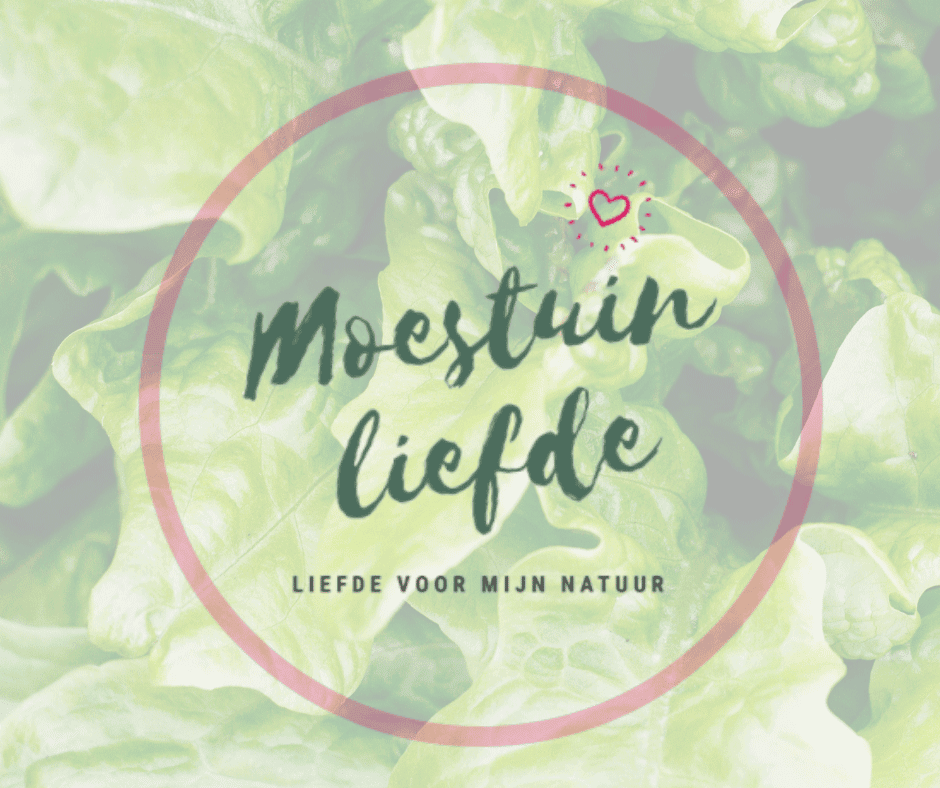 Kom in de kas kom in dekas moestuin liefde