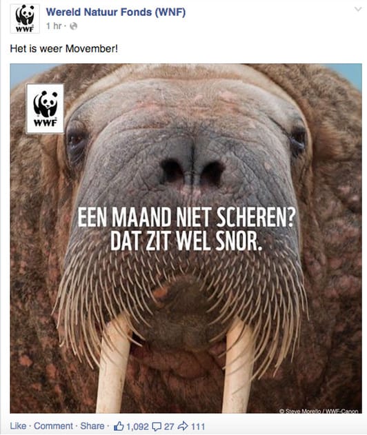 Movember, maand van de snor 11 movember wnf