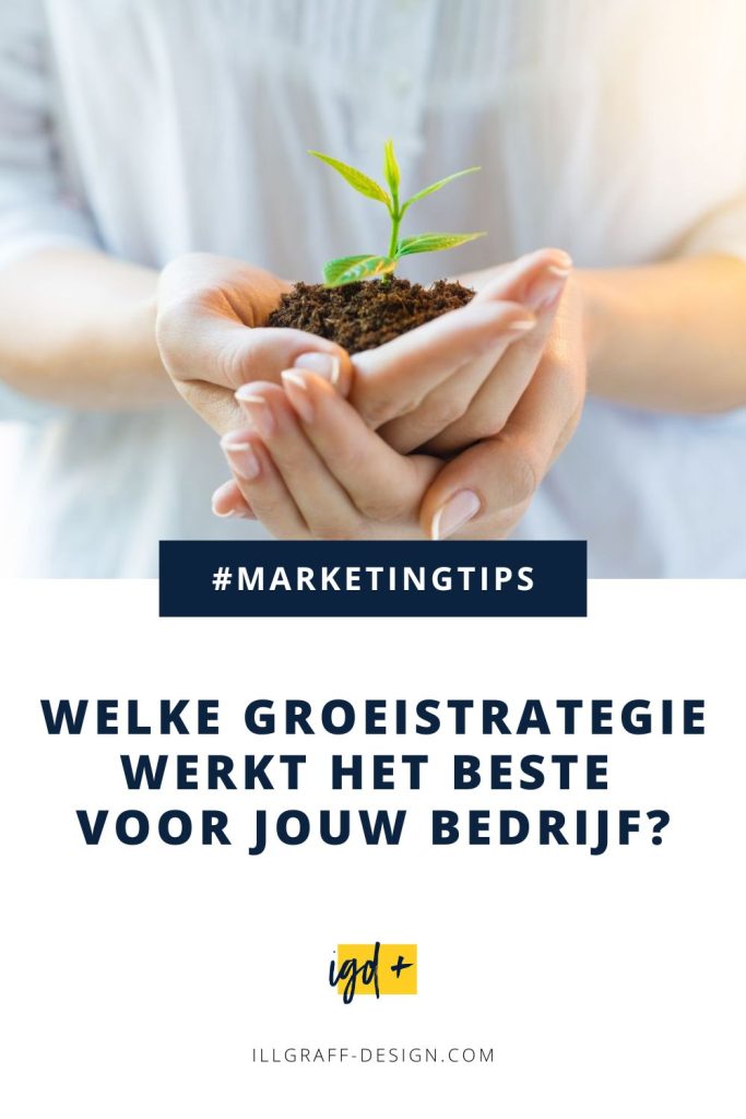 Welke groeistrategie werkt voor jouw bedrijf? Welke groeistrategie werkt voor jouw bedrijf