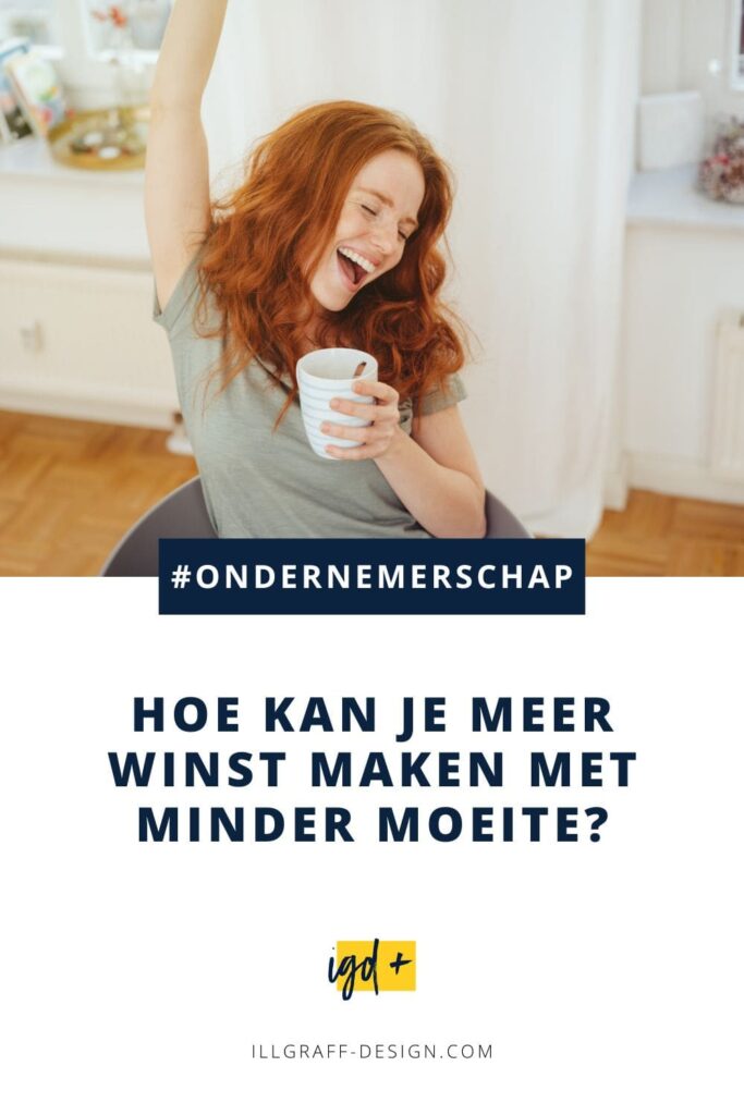 Hoe kan je meer winst maken met minder moeite? meer winst maken en meer omzet draaien met minder moeite
