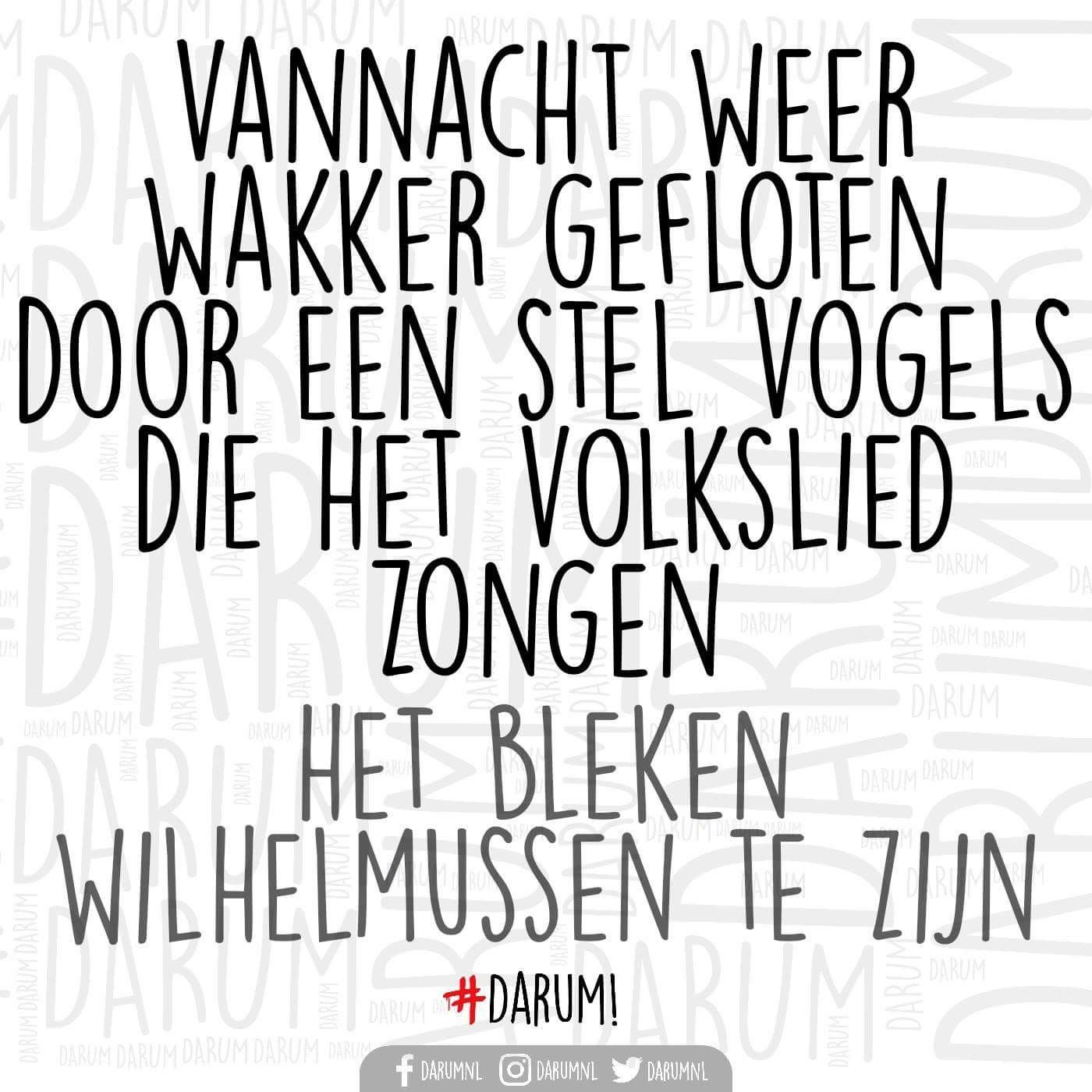 darum-woordgrap koningsdag